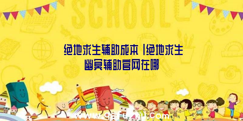 「绝地求生辅助成本」|绝地求生幽冥辅助官网在哪